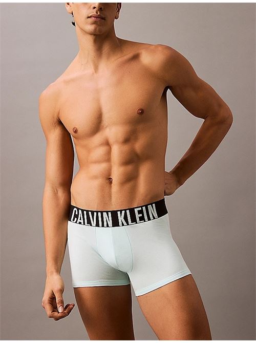 TRUNK 3PK CALVIN KLEIN | 000NB3608A/VVN